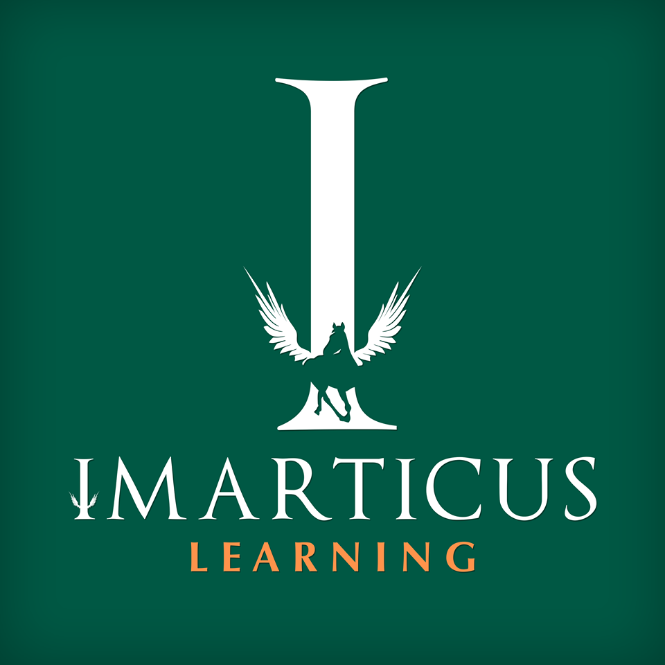 Business Analytics Professional – R / SAS – Imarticus Learning