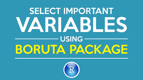 How to perform feature selection (i.e. pick important variables) using Boruta Package in R ?