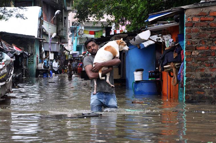 Tapping Twitter Sentiments: A Complete Case-Study on 2015 Chennai Floods